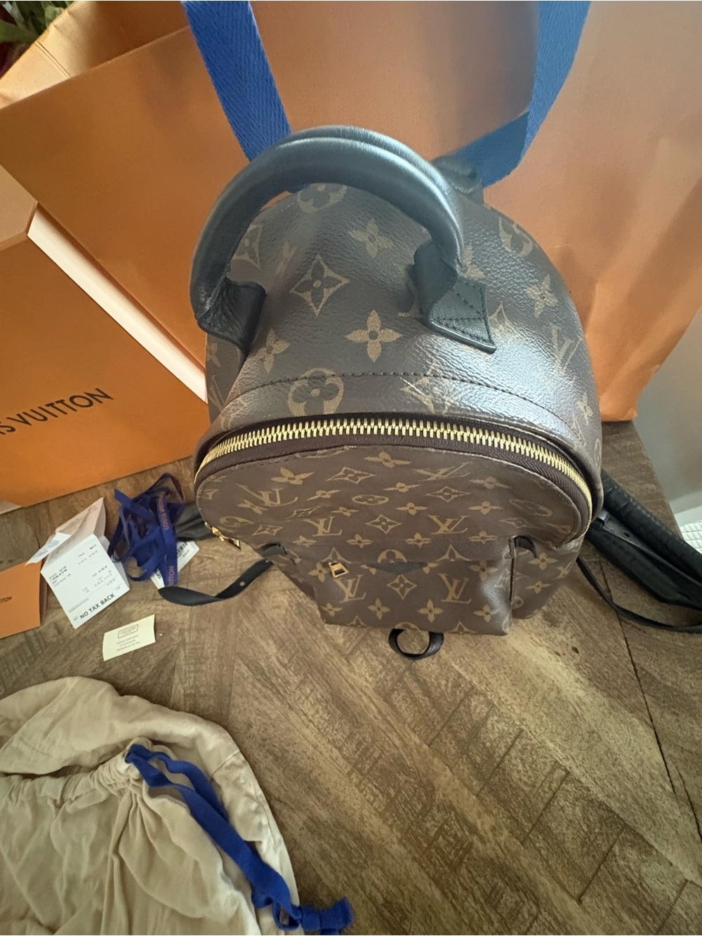 Louis Vuitton Monogram Canvas Palm Springs Backpack PM - Picture 13 of 16